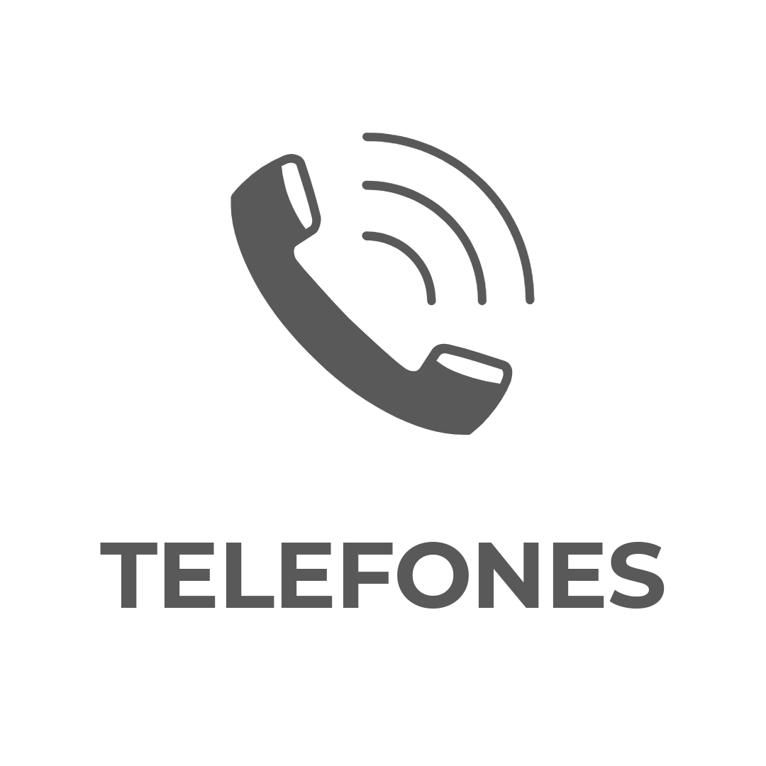 Portal Do Contribuinte Prefeitura De Palmeira